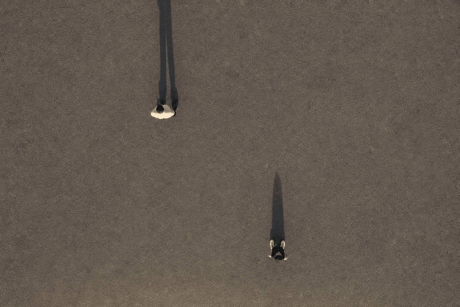 Two People, Long Shadows (Overhead)