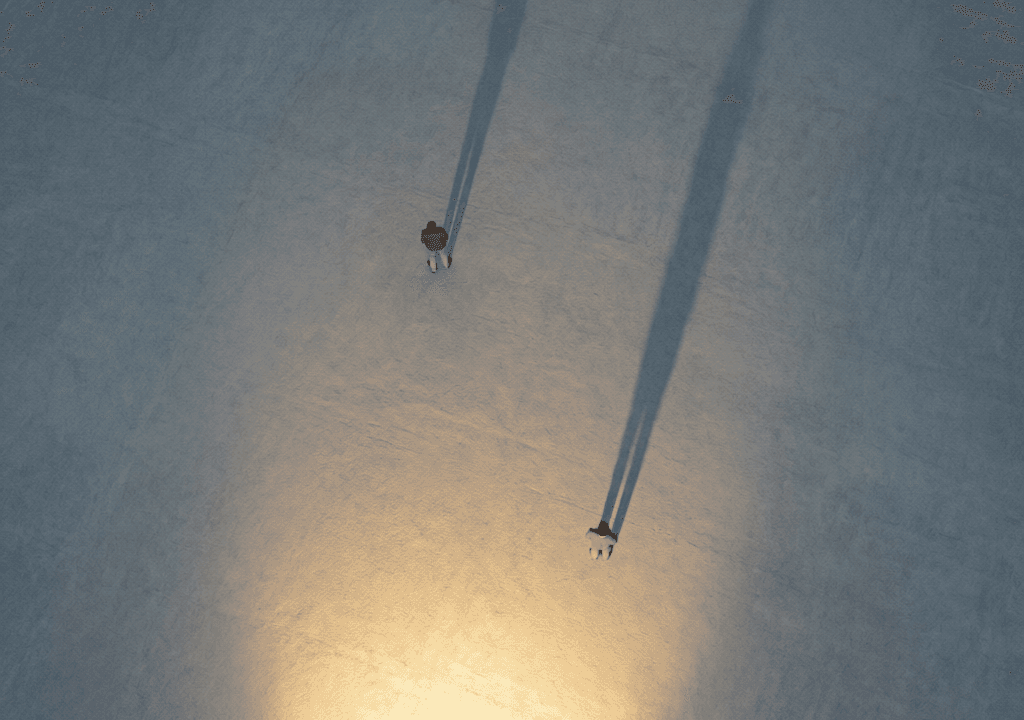 Two People, Long Shadows (Overhead)