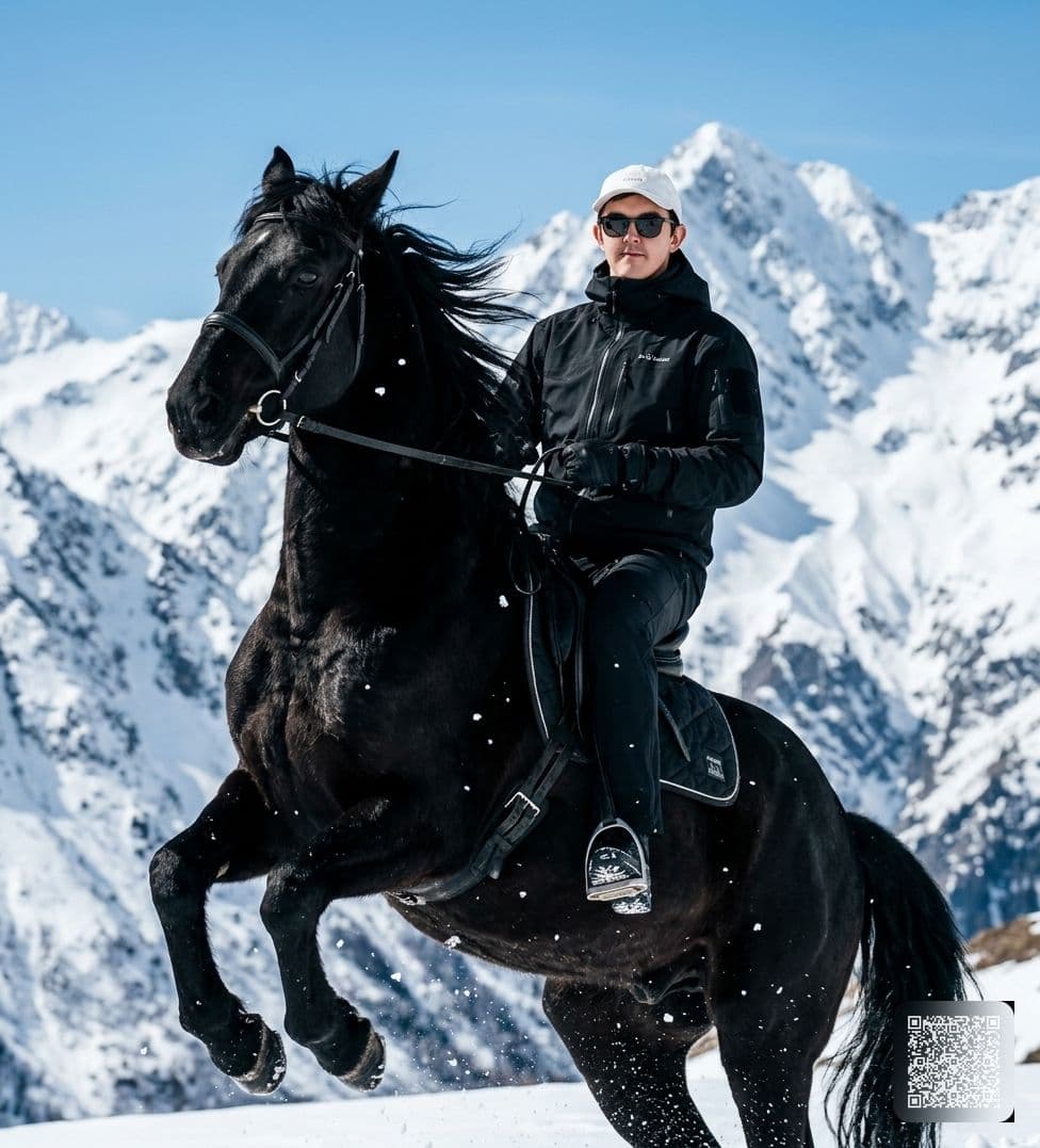 Majestic Black Horse Portrait